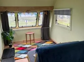 the buttercup shed