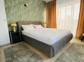 Debres Apartment Aiud
