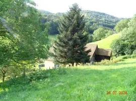 Chambre d'hôtes sur la Montagne de l'Ange