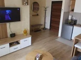 Apartman Marković V