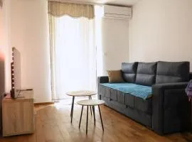 Apartman Gajic Lux