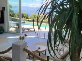 Villa Frajla - Mediterranean House with a sea view and a pool