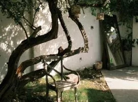 Yên Homestay