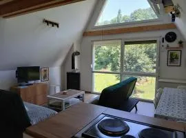 Vila SVITAC Banja Vrujci