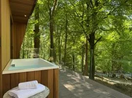 Forest Lodges