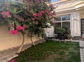 سفانه