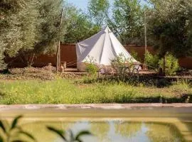 Omi Farm & Lodge
