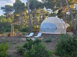 Bubble Billa Glamping site
