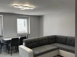 Apartament Powidz