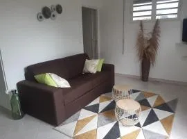 Appartement lumineux avec vue sur la montagne à Gros-Morne, 86 m²