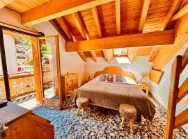 Hôtel-Chalet les Mélèzes, hotel a Valloire
