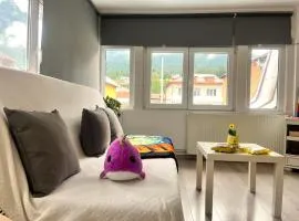 Level One Apartment - Central in Busteni with Shared Garden