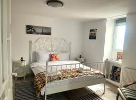 Level One Apartment - Central Busteni with Garden