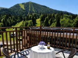 BM Plaza, hotel i Bakuriani