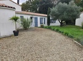 A l'ombre des pins