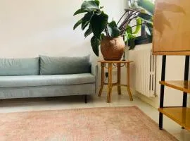 Il Glicine, casa vacanze Sasso Marconi Bologna