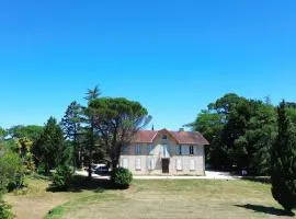 Domaine de Lasserre
