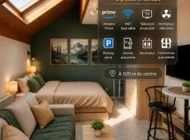 Cozy studio Albertville parking gratuit