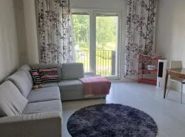 Cozy grandmother's house