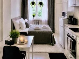 Entire Apartment in Kallio Sornainen