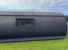 1 Bedroom Cozy Home In Skjern