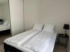 Lille Vedelsborg 1