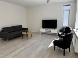 Lille Vedelsborg 1