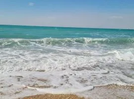 شالية رويال بيتش كونكورد راس سدر