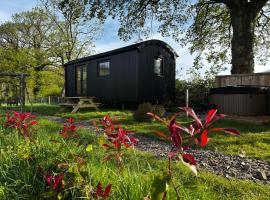 Oakies Farm Stays XL, hotelli kohteessa Llandovery