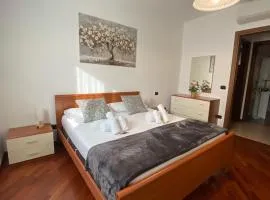 B&B Silvy
