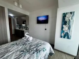 Depto céntrico y acogedor - Pet friendly