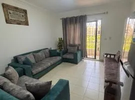 عمارات المستقبل الشيخ زايد