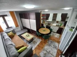 Apartment Meri with garage