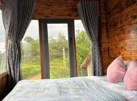 Mocana Homestay & Coffee