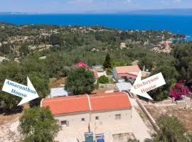 Elichrysos house
