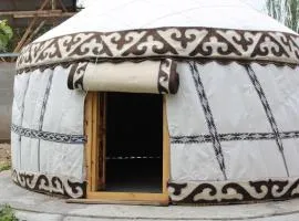 Yurt Garden