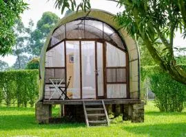 Buvi Camp