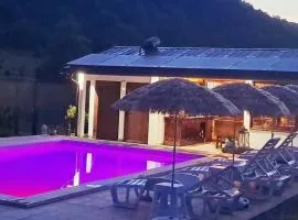 Pooltopia holidayhome go2bihac