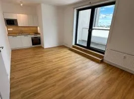 Central Apartments Opava - Studio