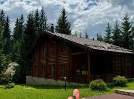 Маєток Ліс і Гори