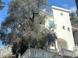 Reževići apartment Lav
