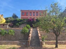 Château XVIII siècle au coeur d'un vignoble