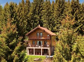 Family Nest Băișoara - Confort Premium, Wi-Fi rapid, ciubăr la cerere și view spectaculos, hotel i Muntele Băişorii