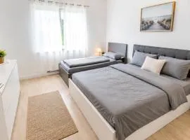 Frechen Prime 49