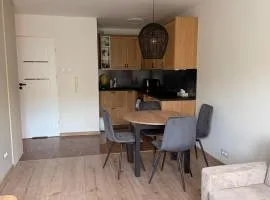 Apartament Paderewskiego Baltic Harmony