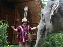 Hidden Gem Elephant
