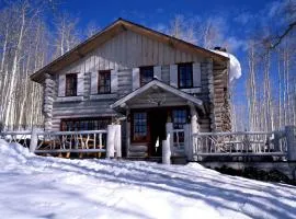 Luxurious Modern Cabin Fully Equipped Perfect for Winter Sports in Beaver Creek, Colorado