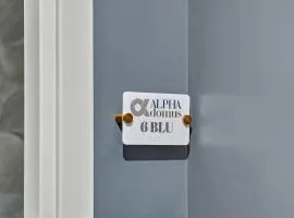 Alpha Domus 6 - Blue