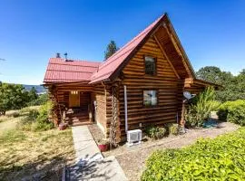 Stunning Cabin Retreat with Sauna, Book Library and Incredible Game Room in Lyle, Washington