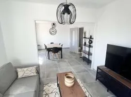 Grand appartement lumineux